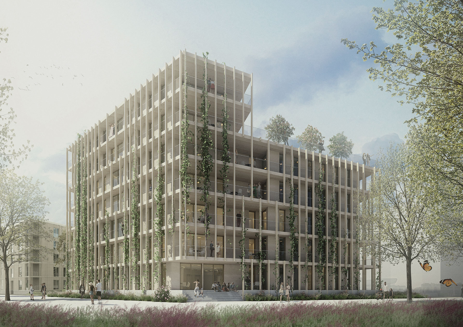 Wohnbau Spinelli (31 WE)